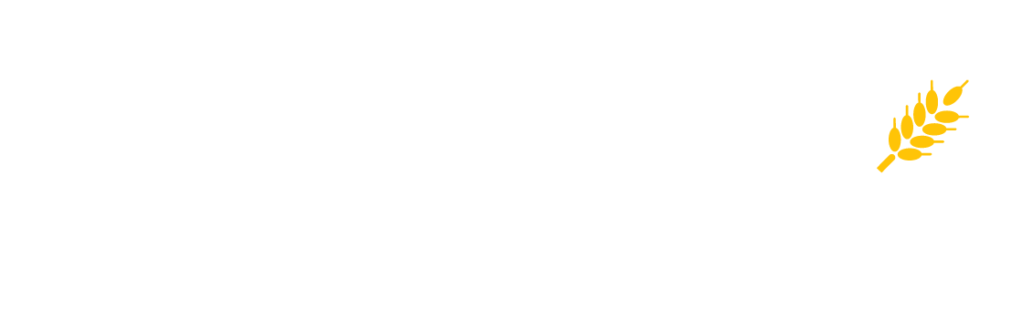 life 100 ingles 2024
